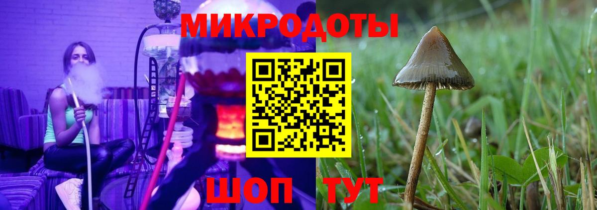 Бутурлиновка  продажа наркотиков  Галлюциногенные грибы мухоморы  Вход с VPN  Галлюциногенные грибы GOLDEN TEACHER 